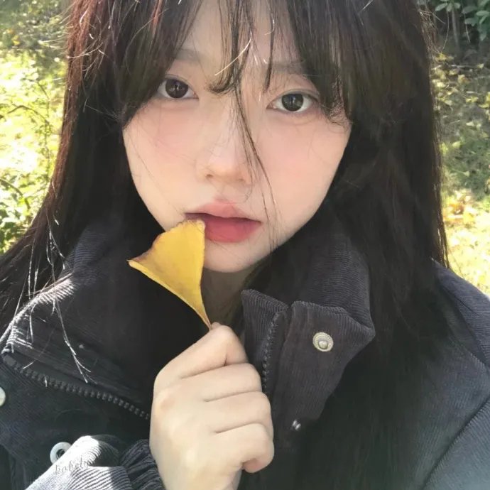 恋爱快拍粤语